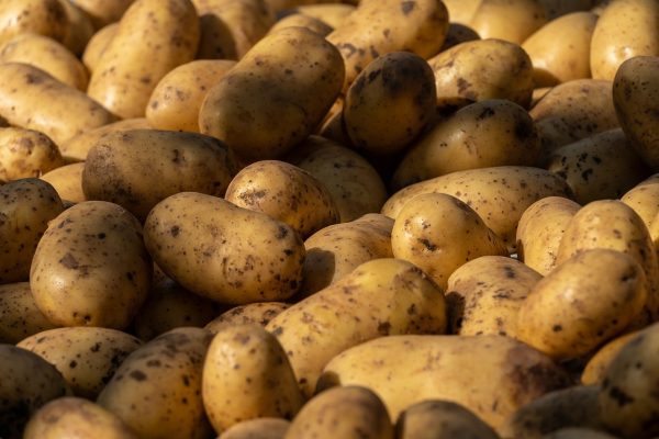 potatoes, vegetables, root crops-6980000.jpg